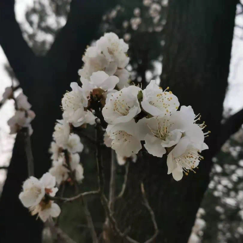 2028e16a7f5c4468886f71362c1ff5f8.jpeg 2028e16a7f5c4468886f71362c1ff5f8.jpeg