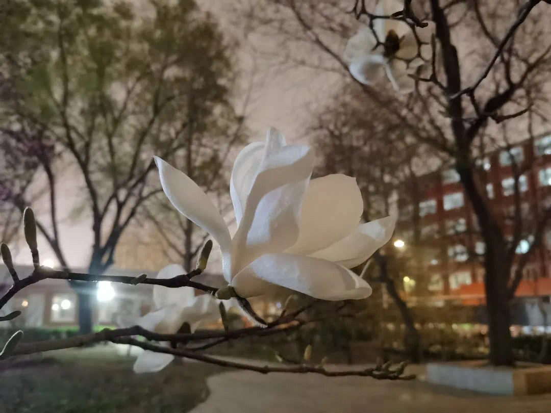 3634010aa2634274b07378108103b80f.jpeg 3634010aa2634274b07378108103b80f.jpeg