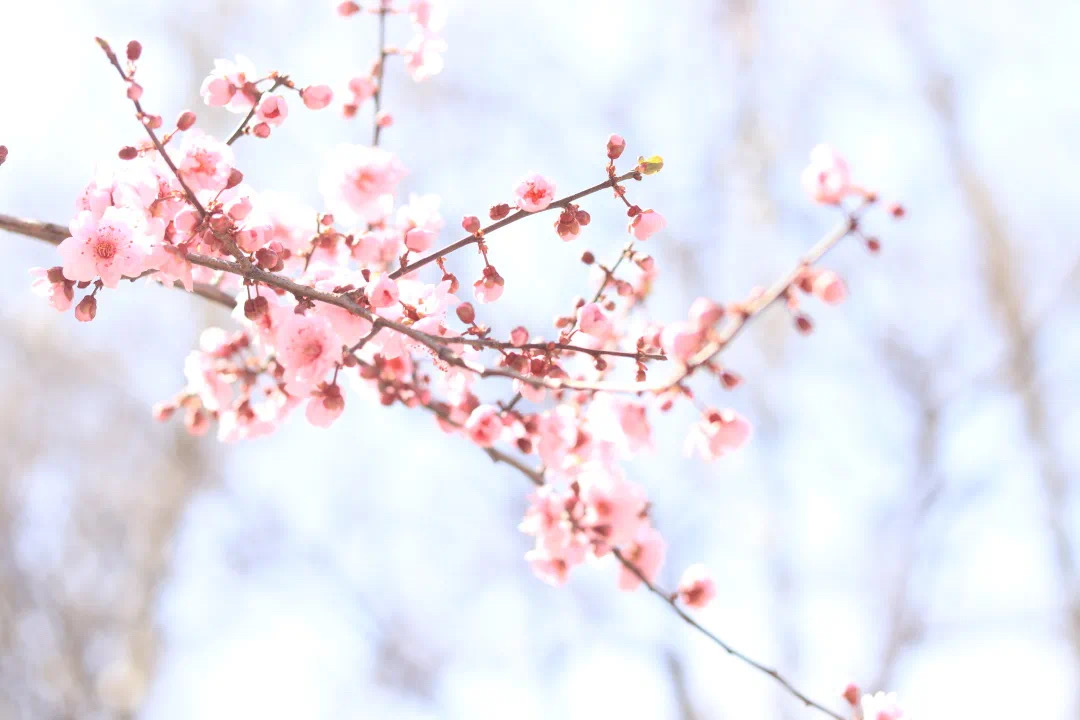 40721cc0e6f841dca205dbb455dc32b3.jpeg 40721cc0e6f841dca205dbb455dc32b3.jpeg