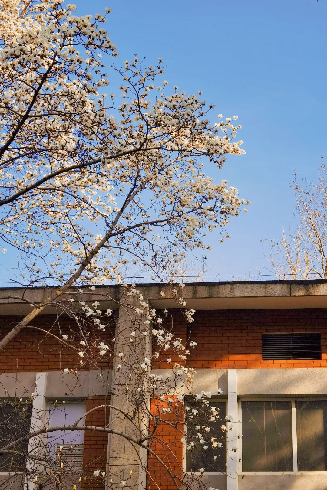 4825ddb945074d8d86378fb1c75a8890.jpeg 4825ddb945074d8d86378fb1c75a8890.jpeg