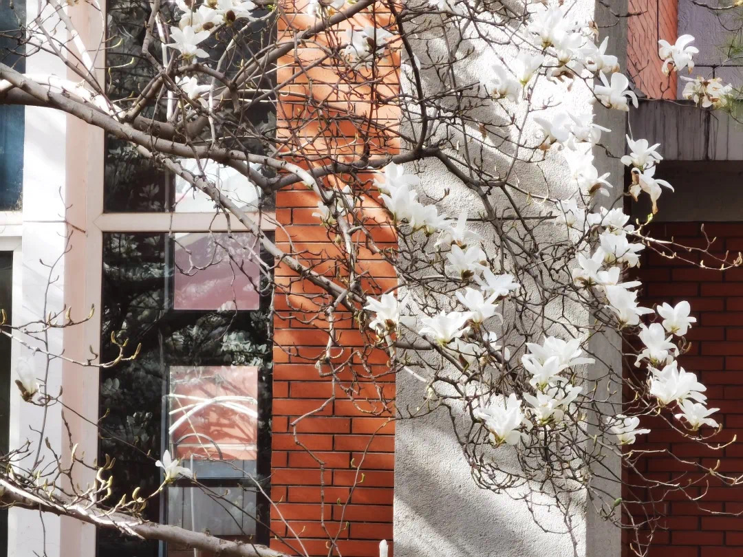 4ad73266be854ad4a4042024064f9462.jpeg 4ad73266be854ad4a4042024064f9462.jpeg