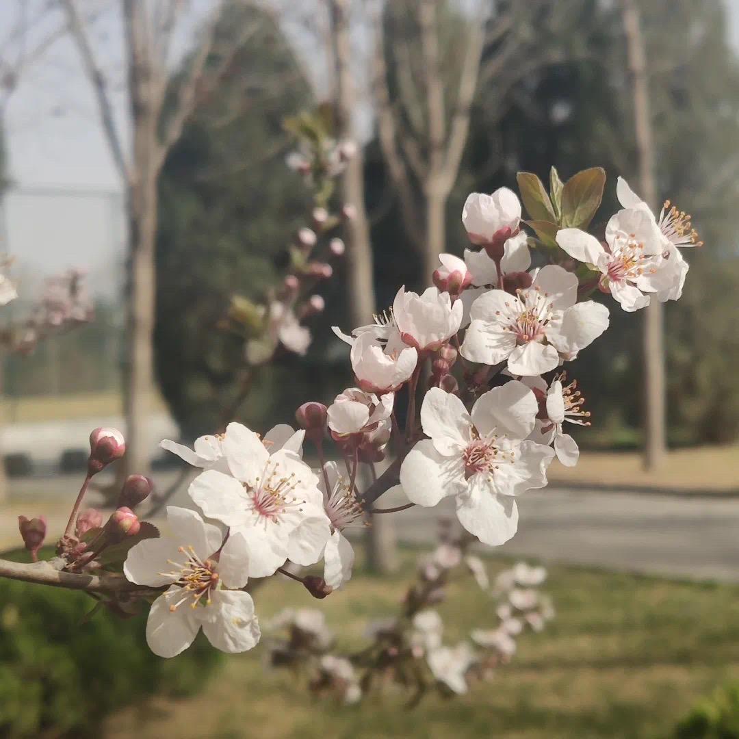 56e22e44e2134ef09ac124f7e2b75c81.jpeg 56e22e44e2134ef09ac124f7e2b75c81.jpeg