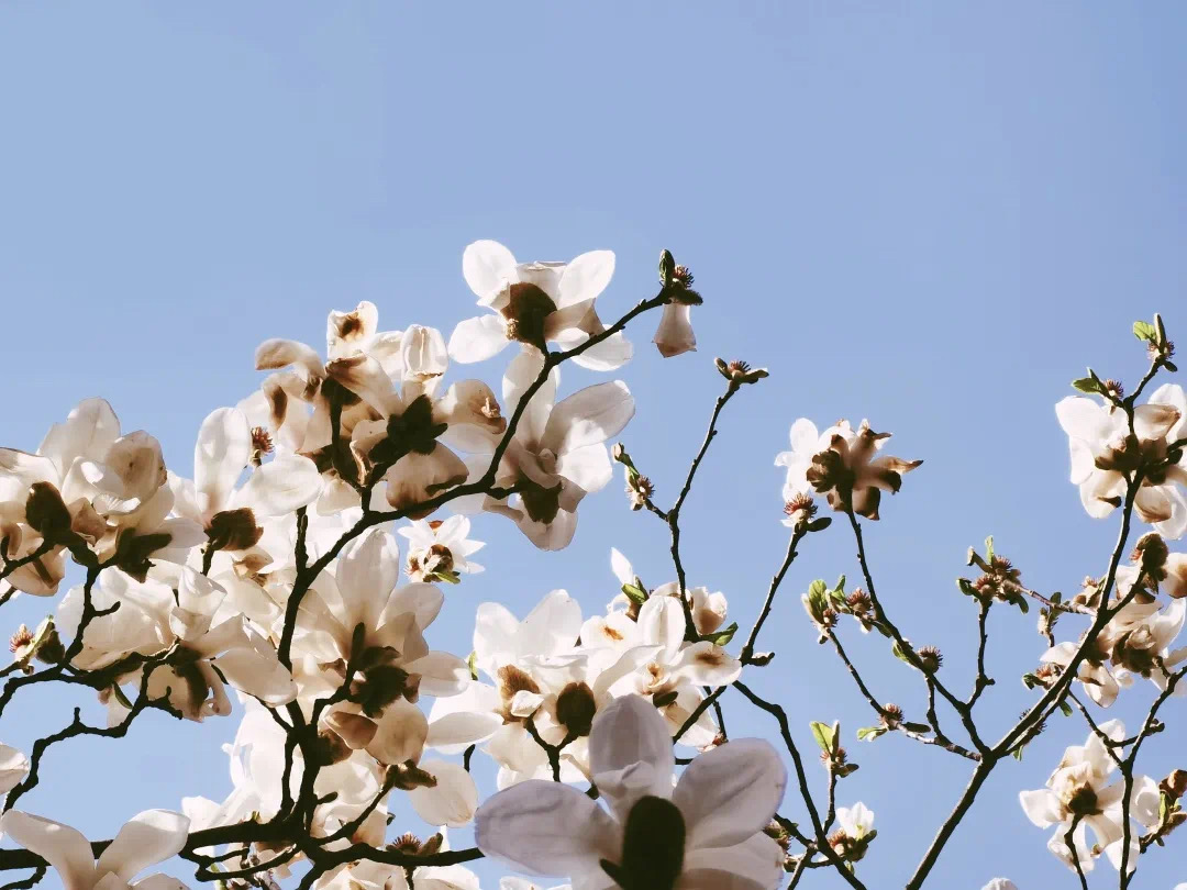 cfac9add95a542a6899f69c79a1744ac.jpeg cfac9add95a542a6899f69c79a1744ac.jpeg