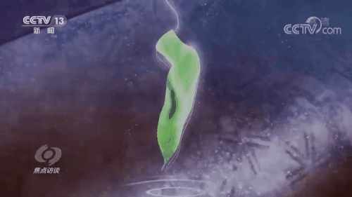 0dac9f4d61064a0f8d2f2cfca527ab2e.gif 10.gif